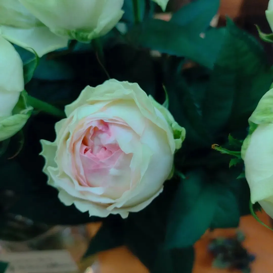 こんばんは、Flower Shop ぶどう...