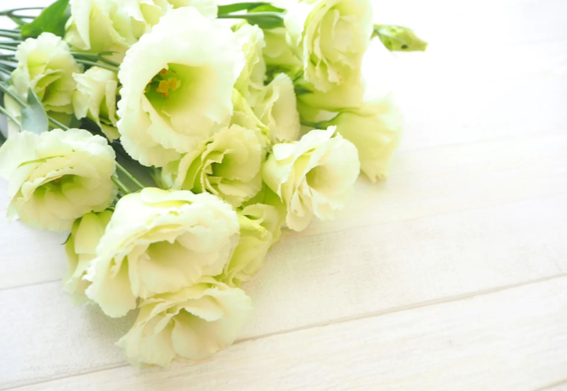 Flower Shop ぶどうと柳