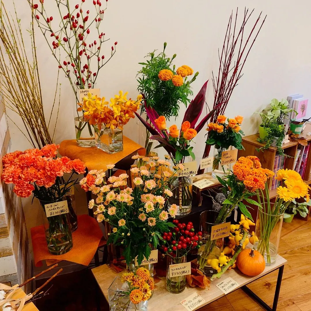 🔶オレンジフェア🔶