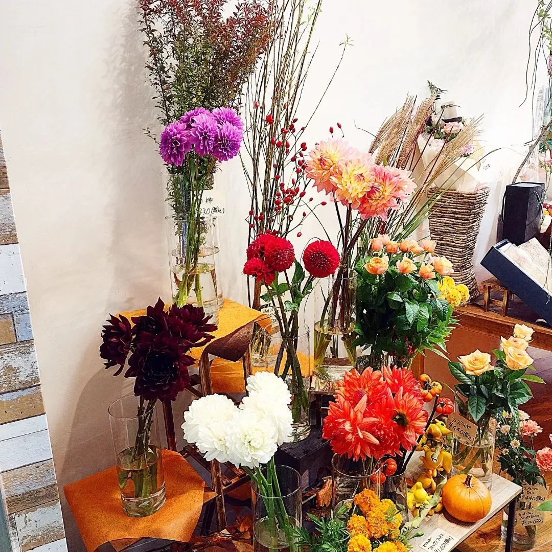 ダリアフェアー🌼