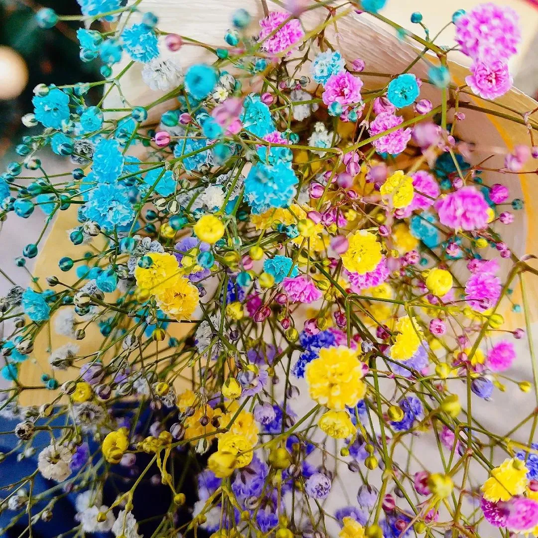 レインボーカスミのミニブーケ🌈