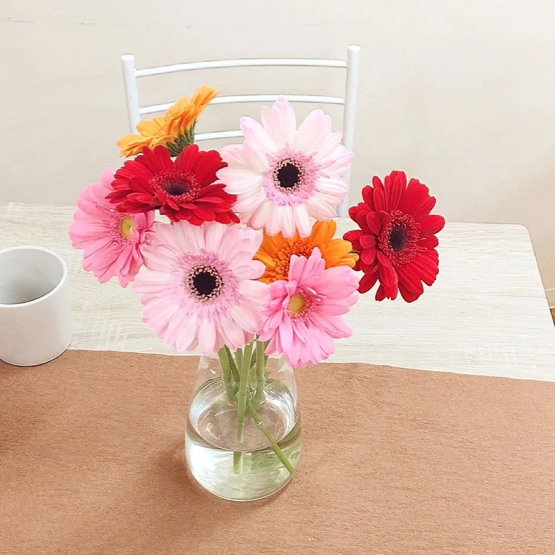 ガーベラフェア🌼