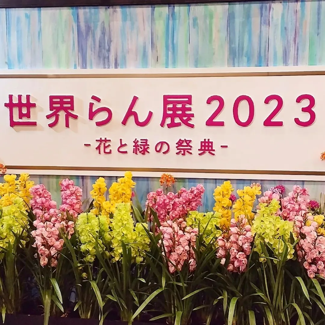 世界らん展🌼