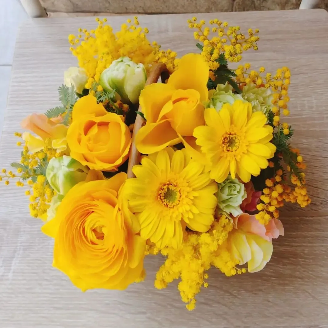 3/8は国際女性デー／ミモザの日🌼