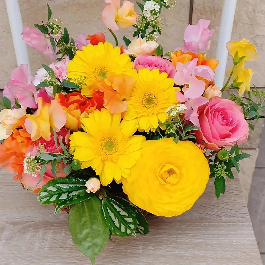 御祝い用アレンジメント💐