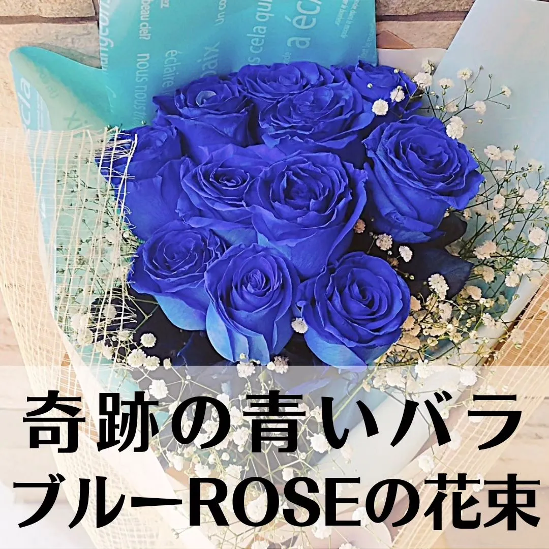 奇跡の青いバラ！！