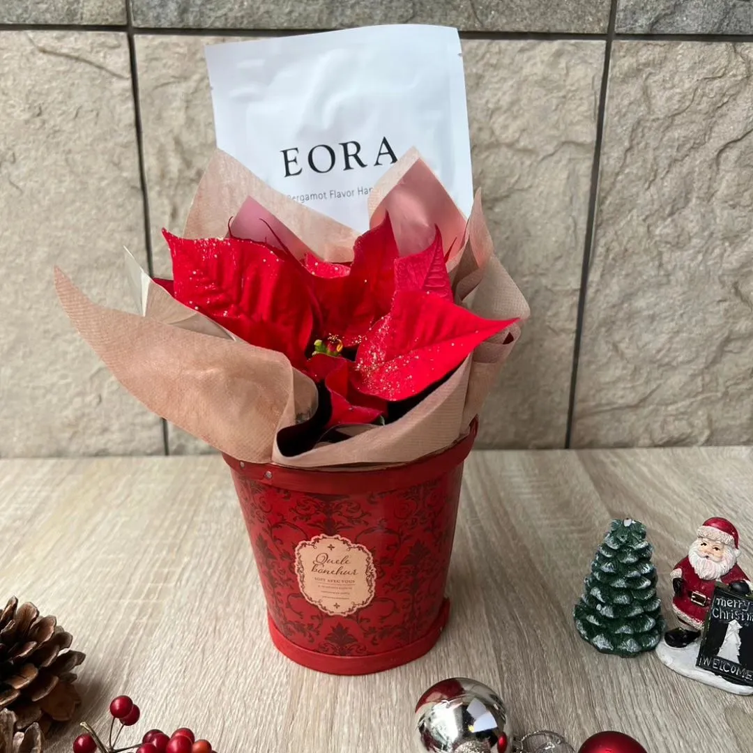 女性の「’嬉しい！」をぎゅーっと詰め込みました🌹🌹🌹