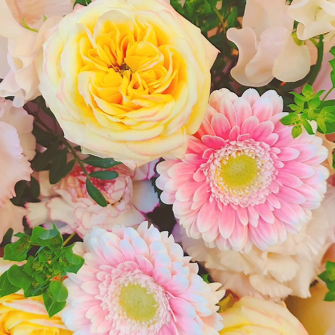 新規開店のお祝いにご注文頂きました。