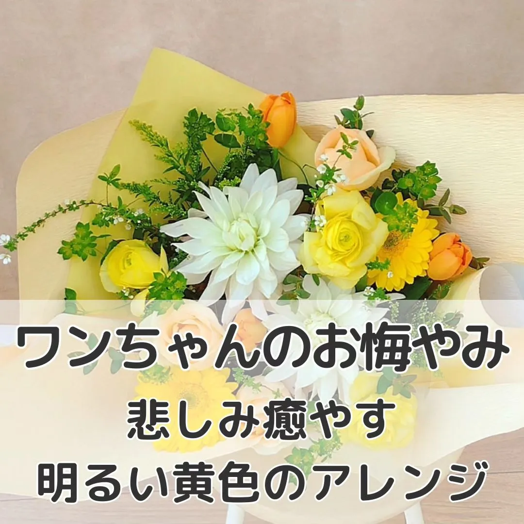 ワンちゃんのお悔やみにご注文頂きました。