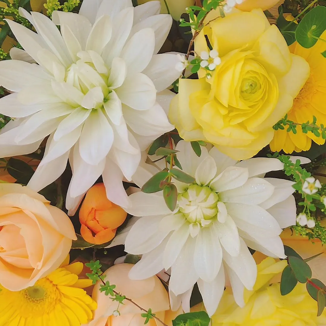 ワンちゃんのお悔やみにご注文頂きました。