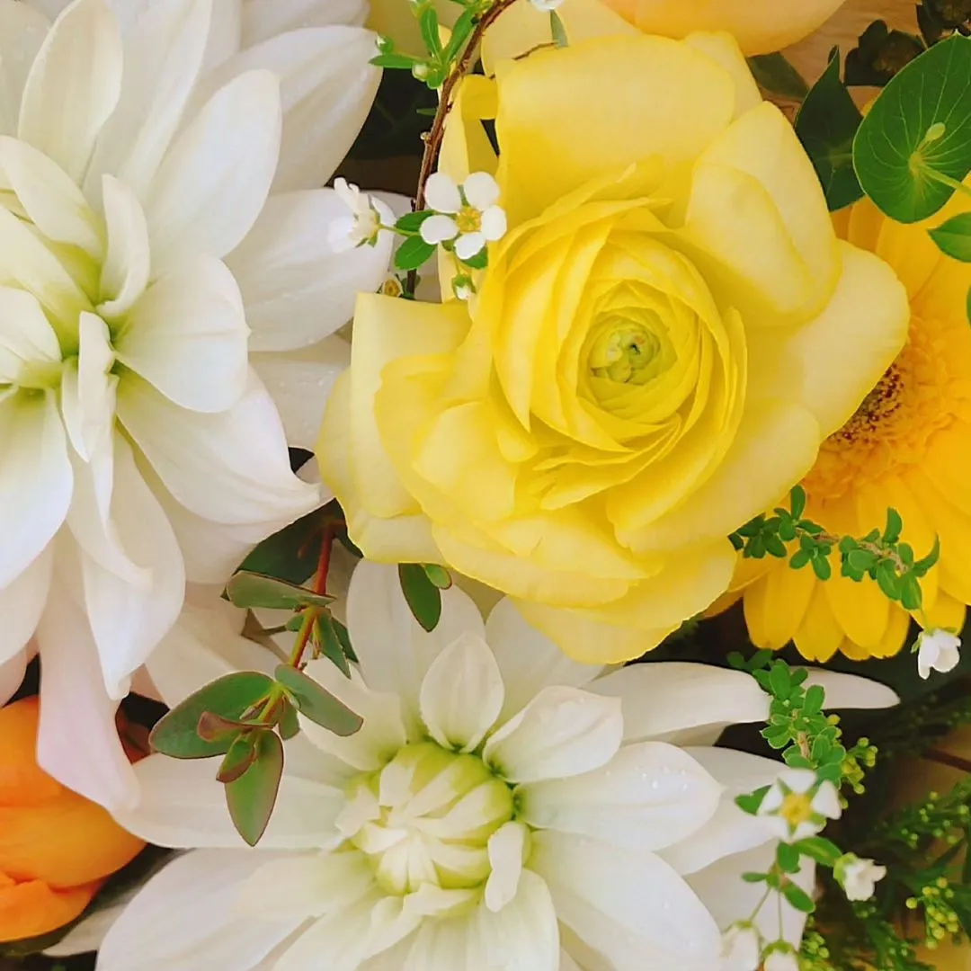 ワンちゃんのお悔やみにご注文頂きました。