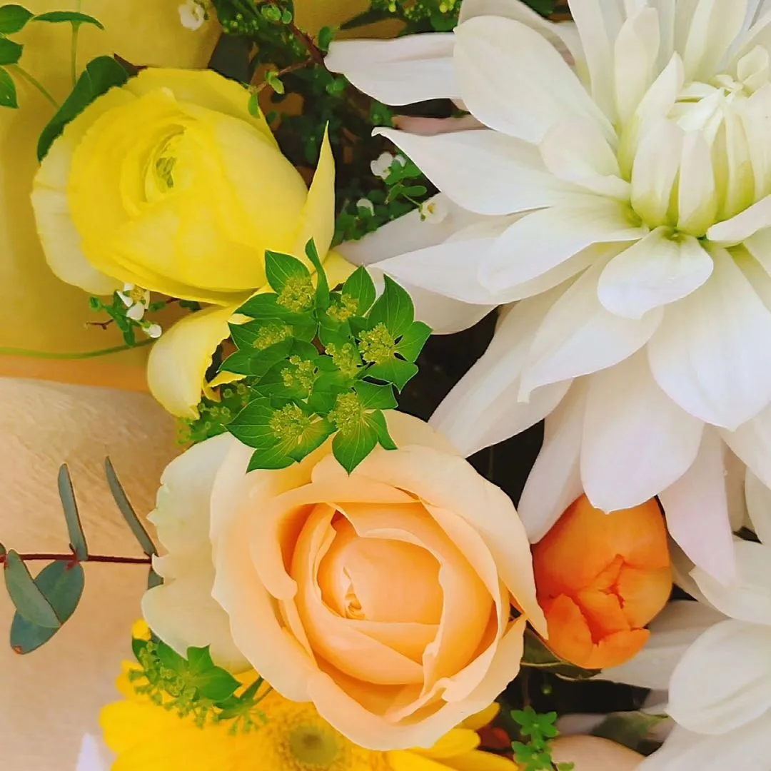 ワンちゃんのお悔やみにご注文頂きました。