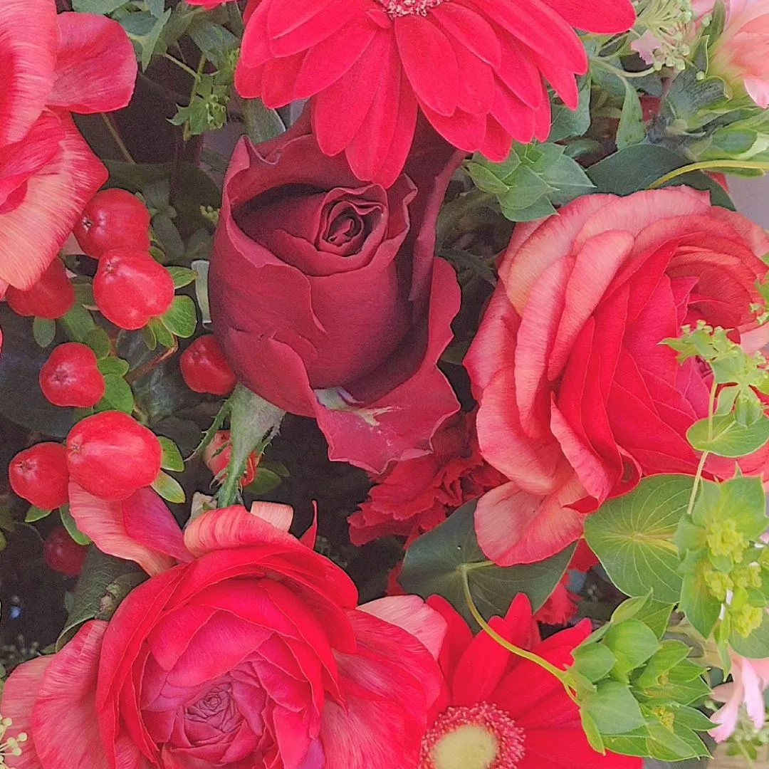 還暦を迎えるお母様へ。