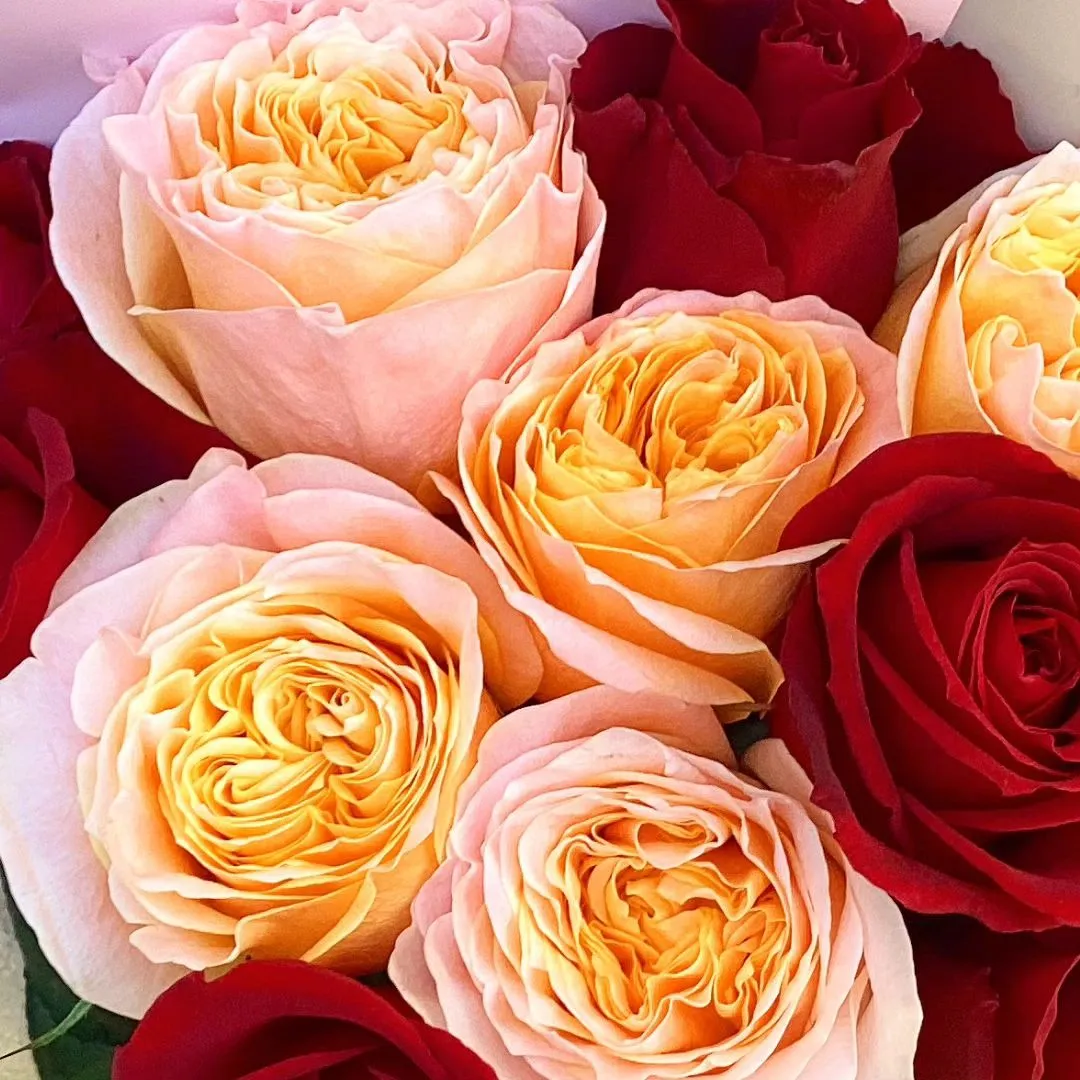 プロポーズ用のダズンローズのブーケ🌹