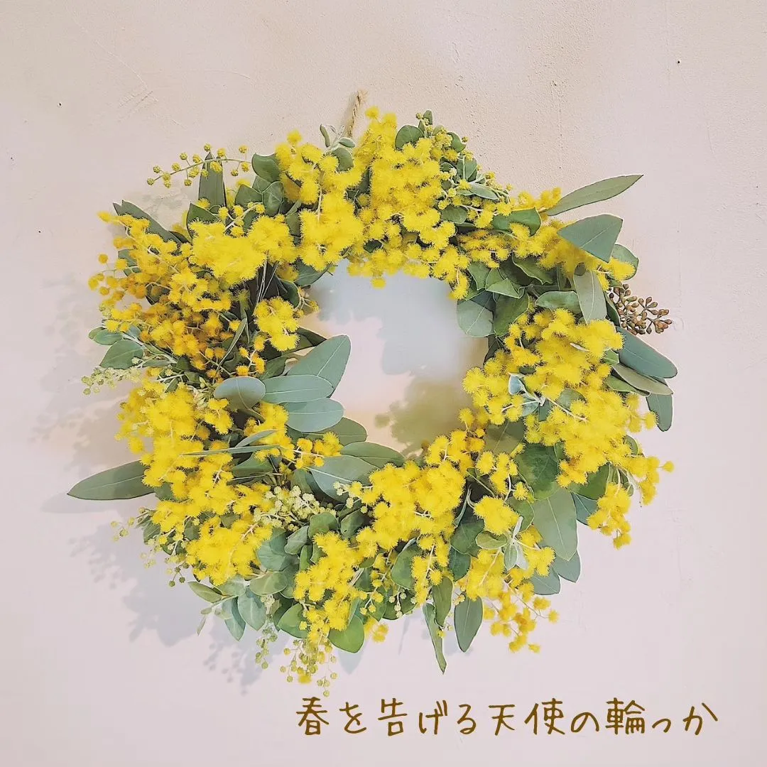 春を告げる天使の輪っか