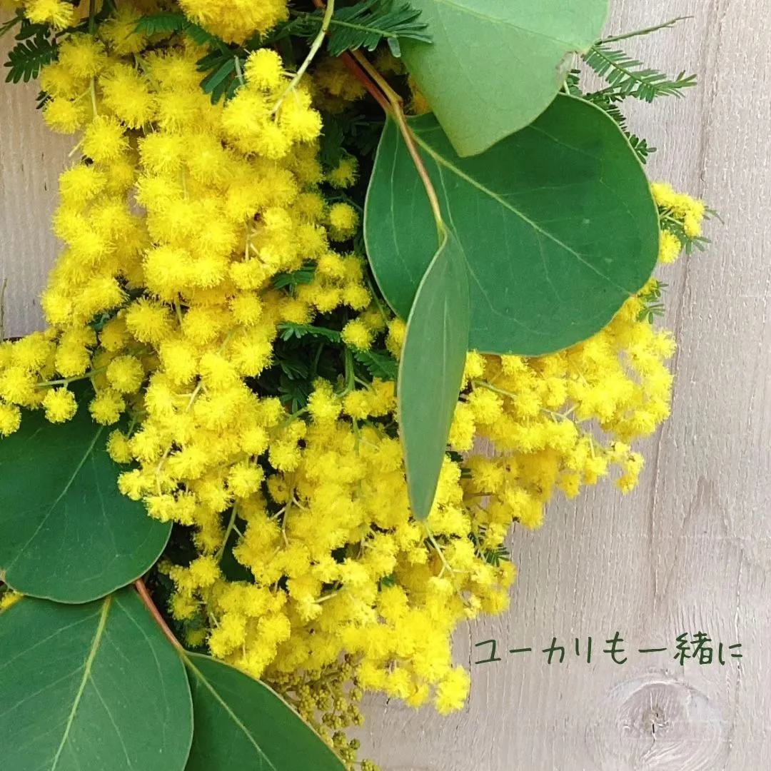 春を告げる天使の輪っか