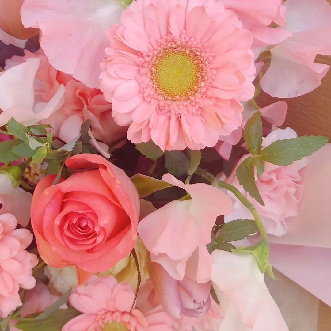 新たな門出のお祝いに。