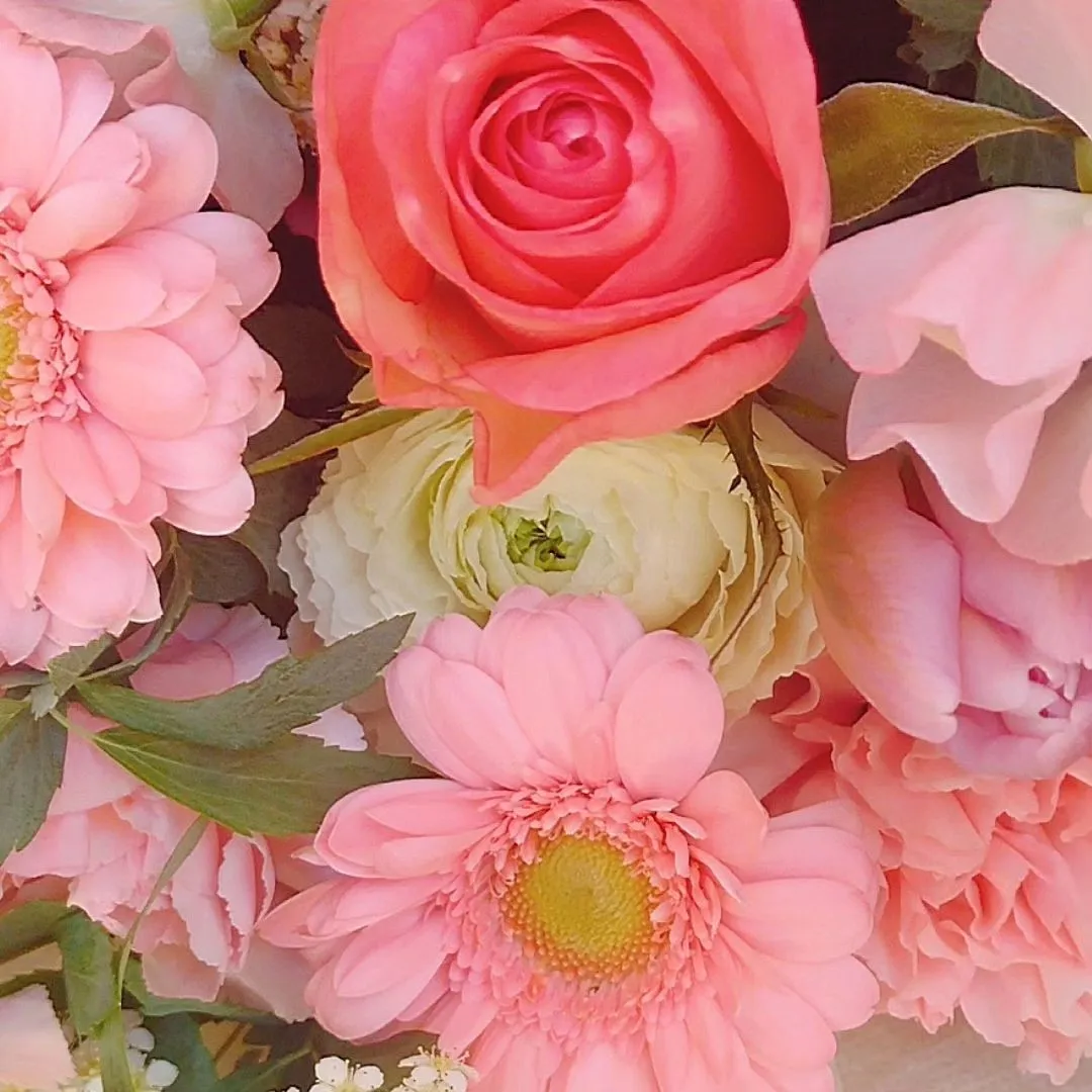 新たな門出のお祝いに。