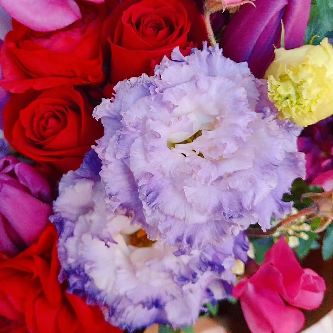 コンサートのお祝いに。