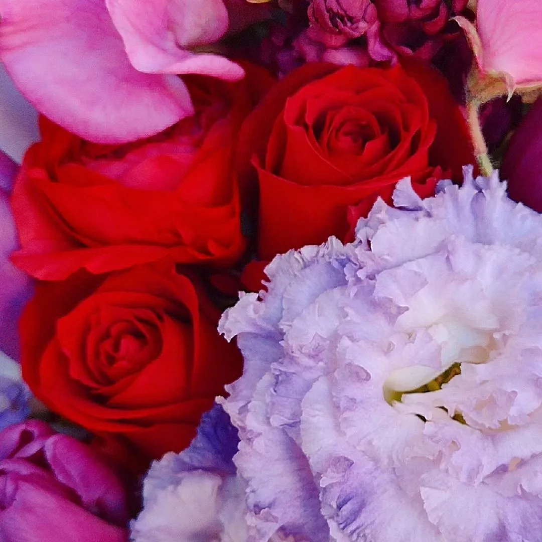 コンサートのお祝いに。