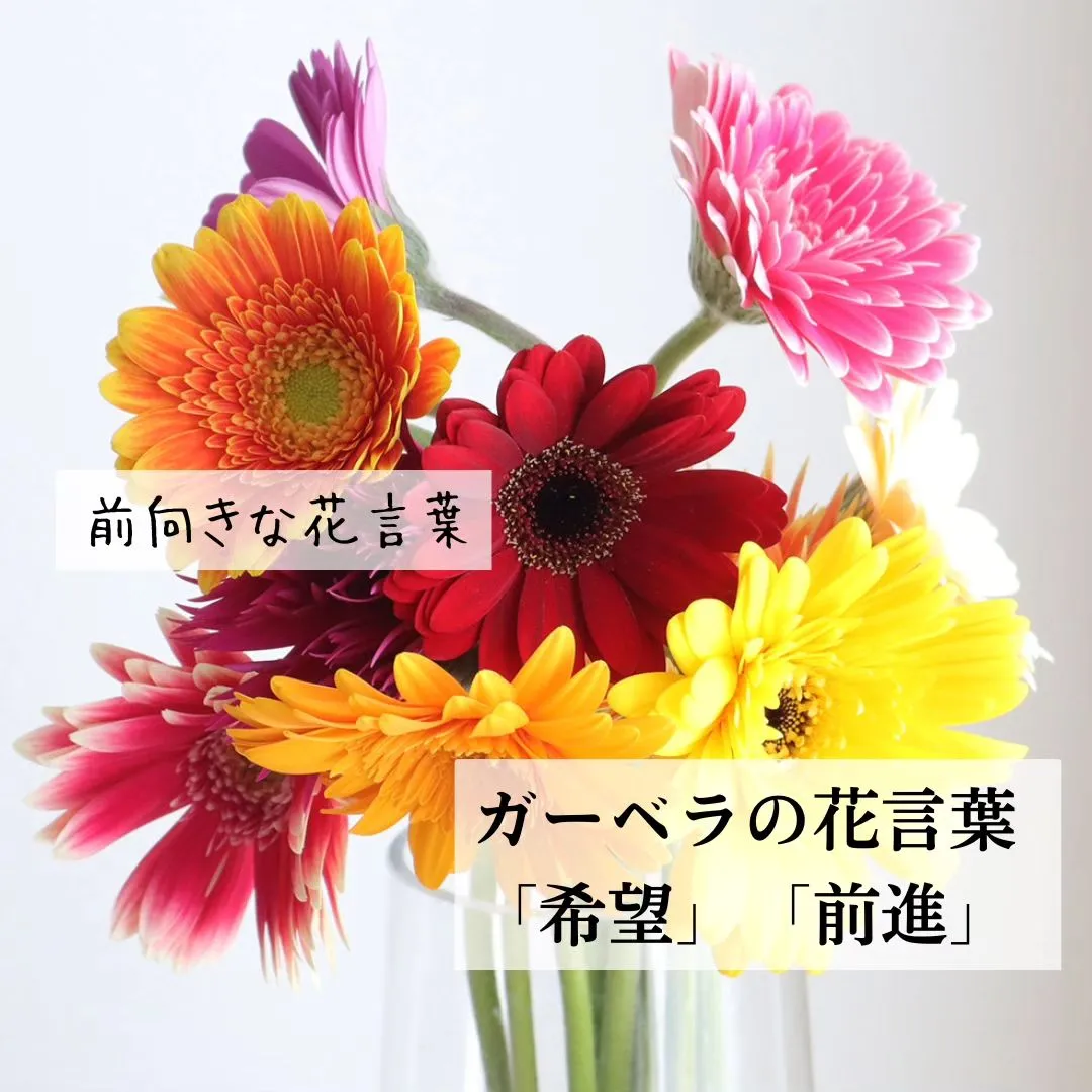 お子さまのうれしい門出に