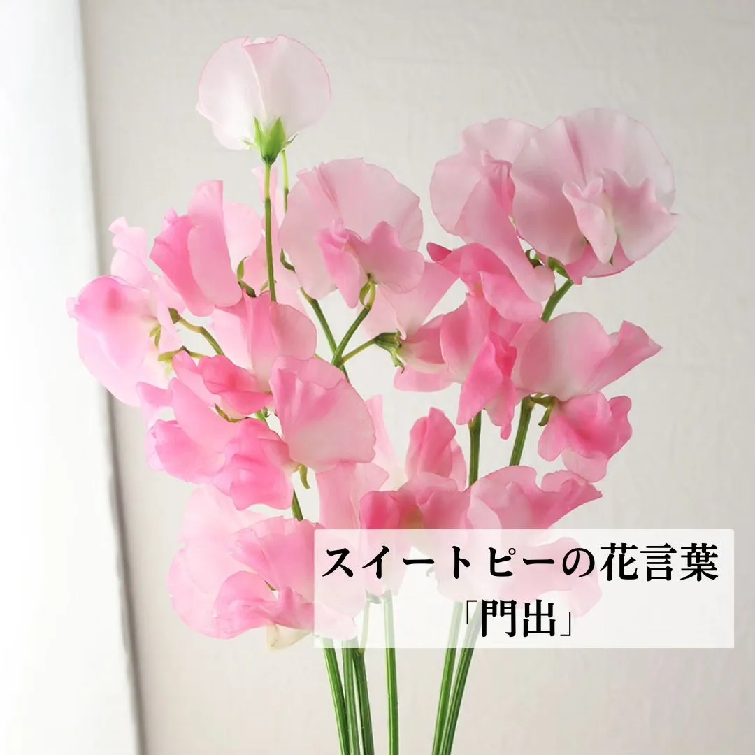 お子さまのうれしい門出に