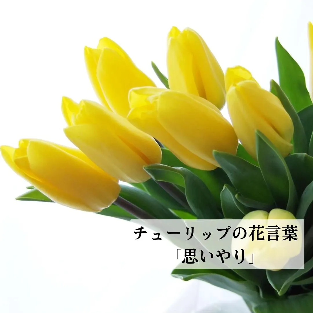 お子さまのうれしい門出に