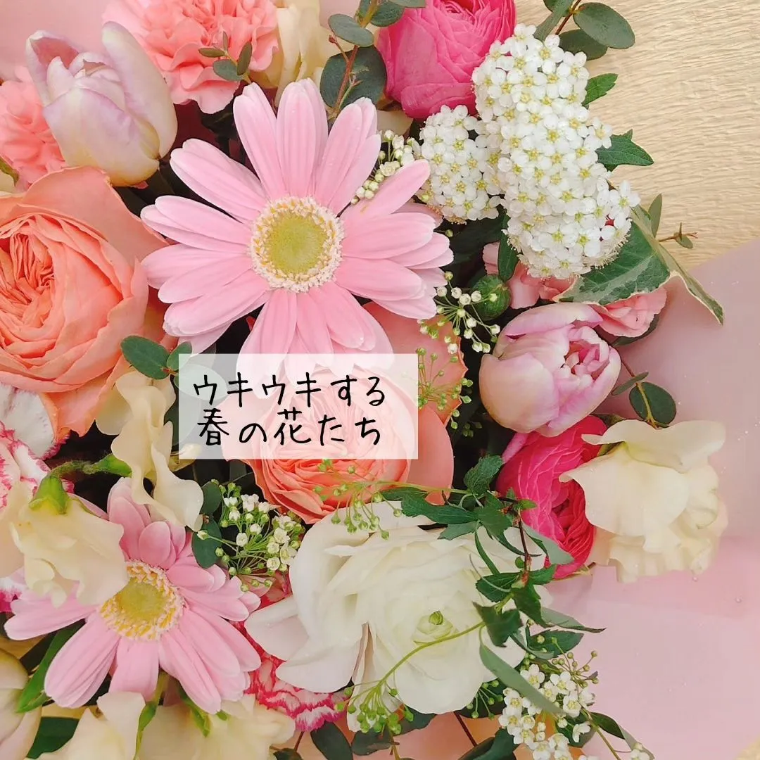 贈って嬉しい！もらって幸せ！