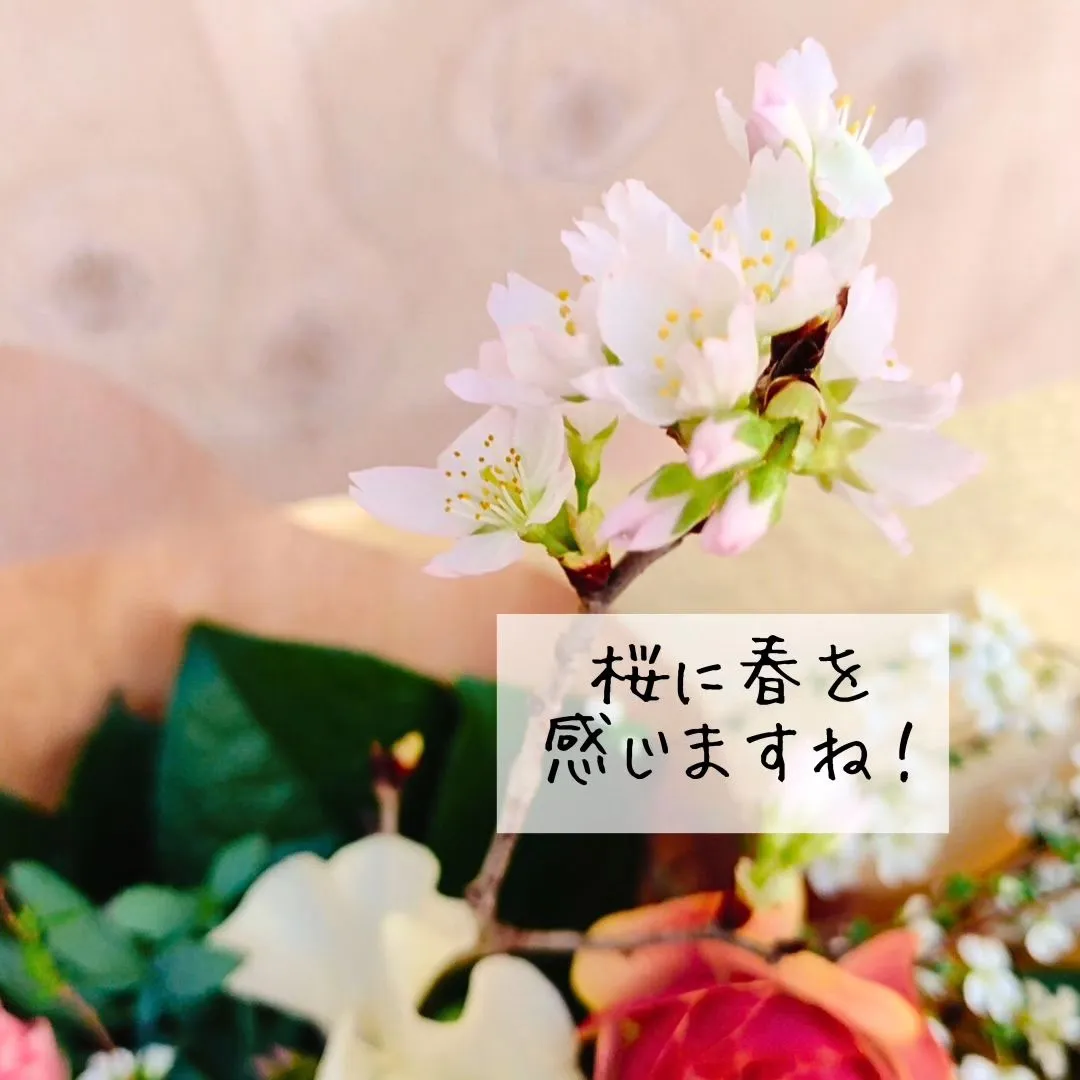 お母さまへのお誕生日に。