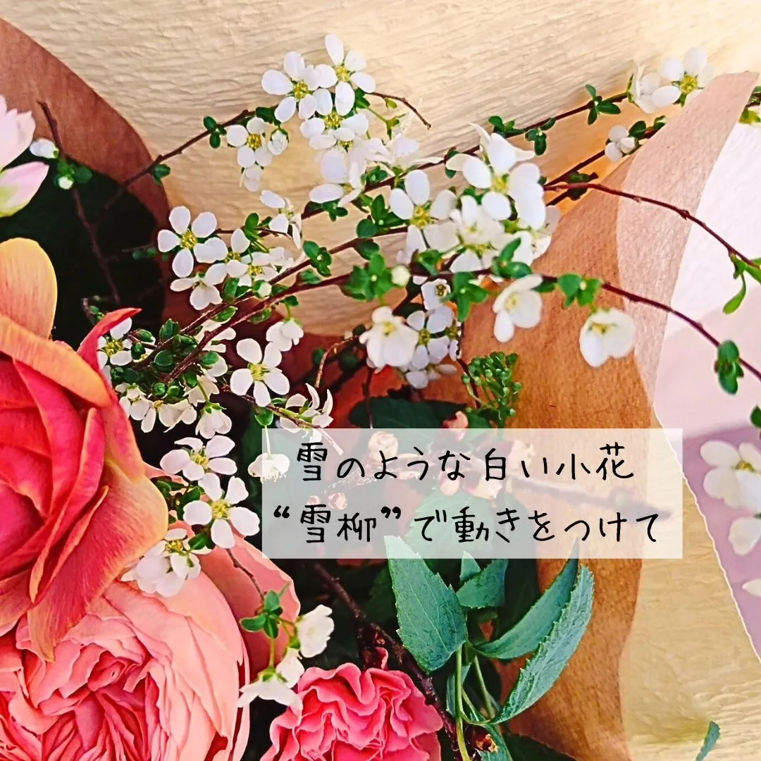 お母さまへのお誕生日に。