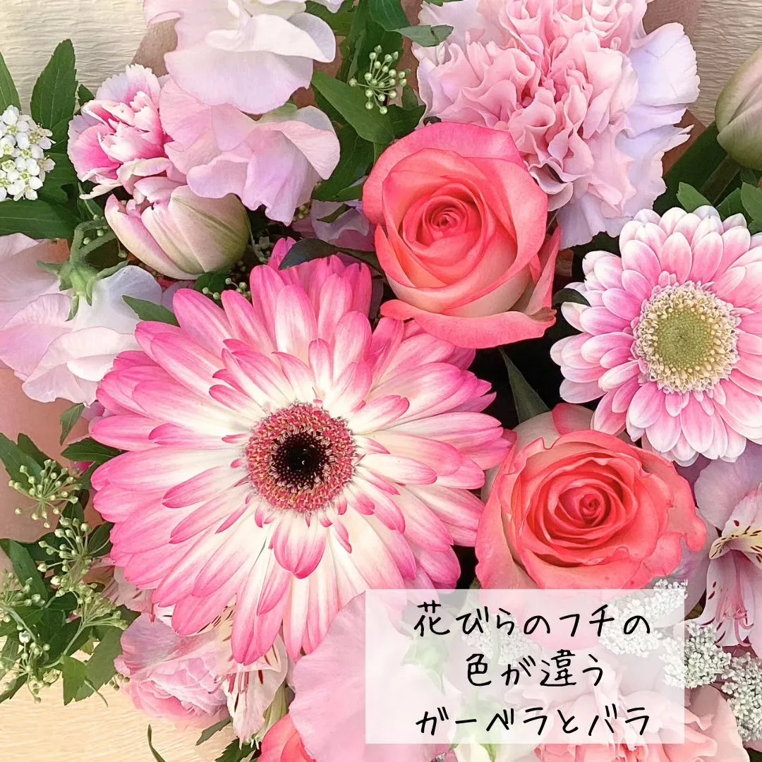 音楽に色を添えます♪