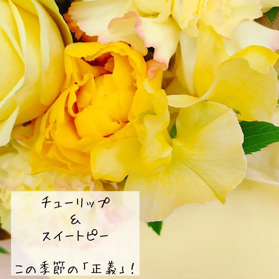 退院のお祝いに。