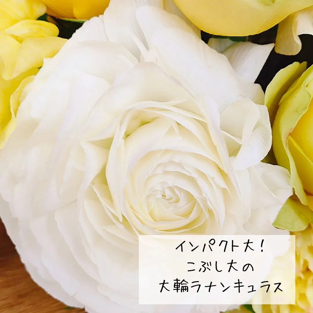 退院のお祝いに。