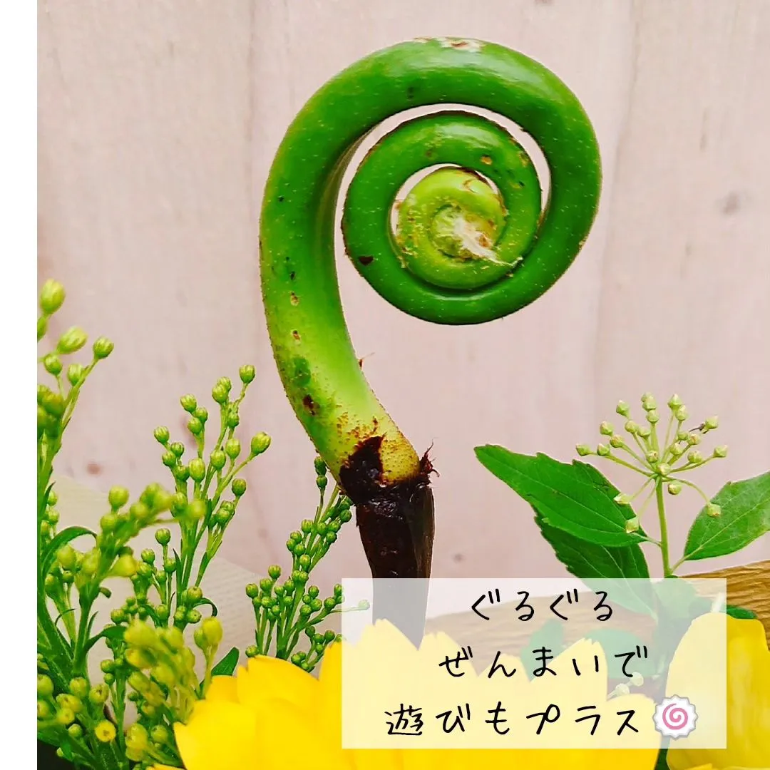 退院のお祝いに。