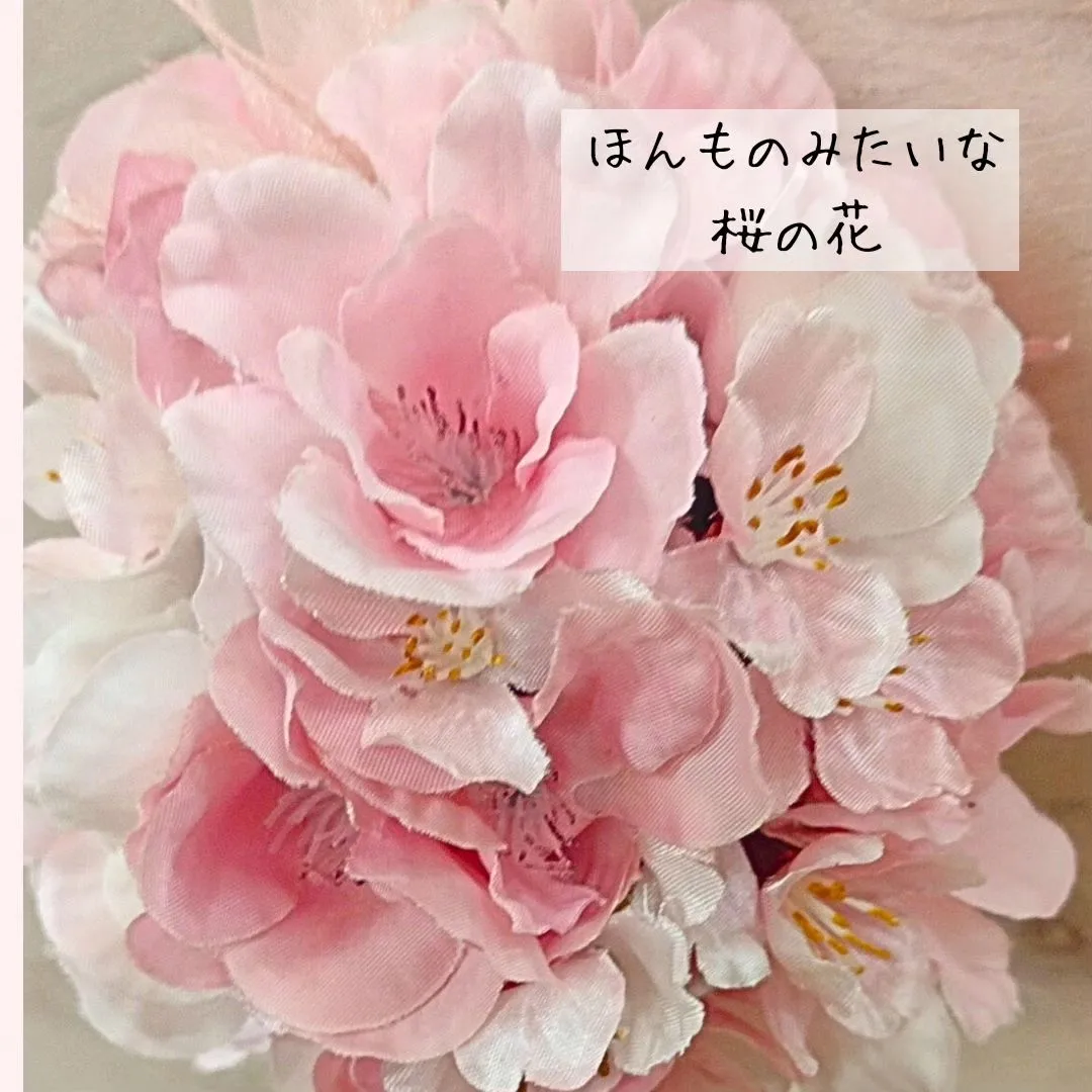 新しいカタチのお花見🌸