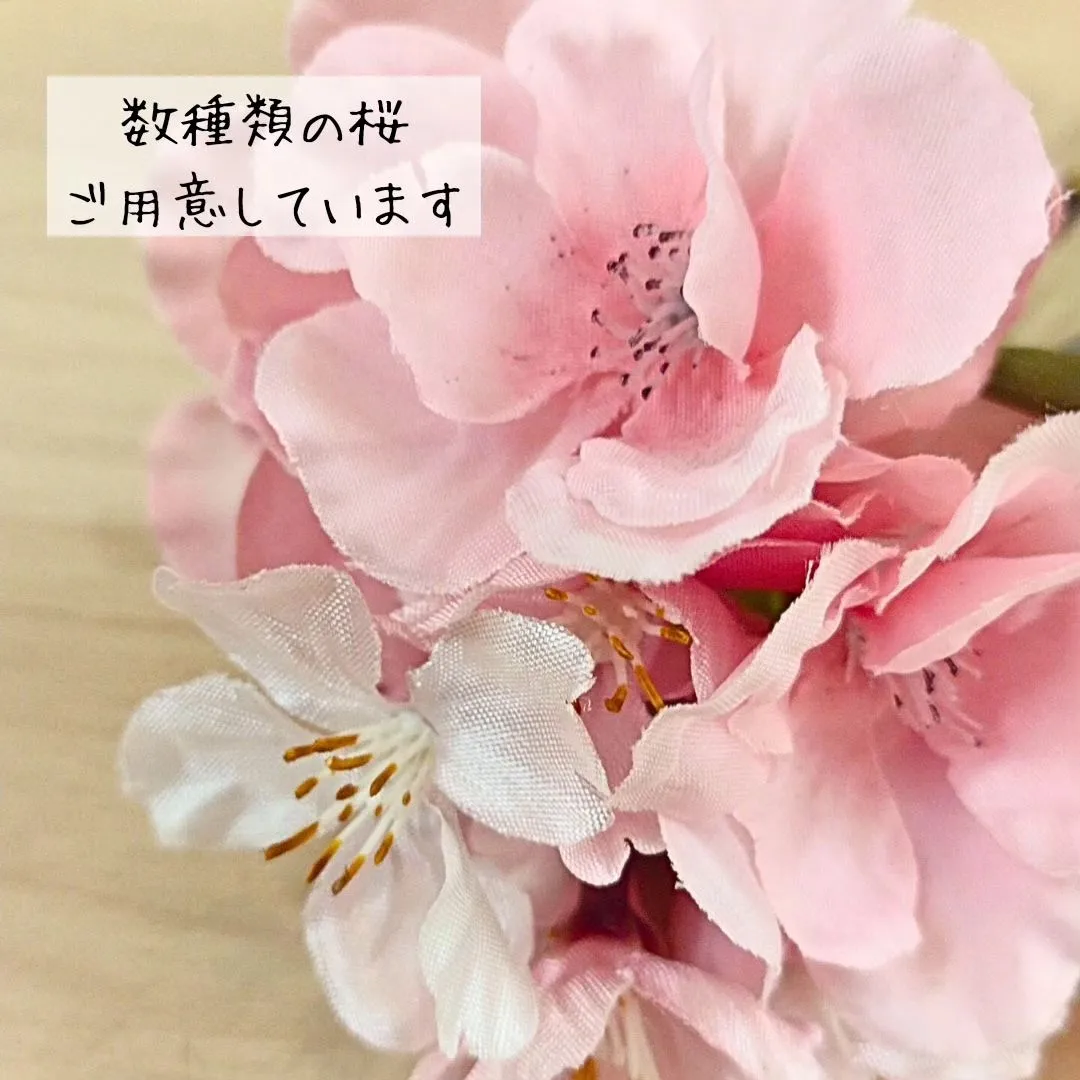 新しいカタチのお花見🌸