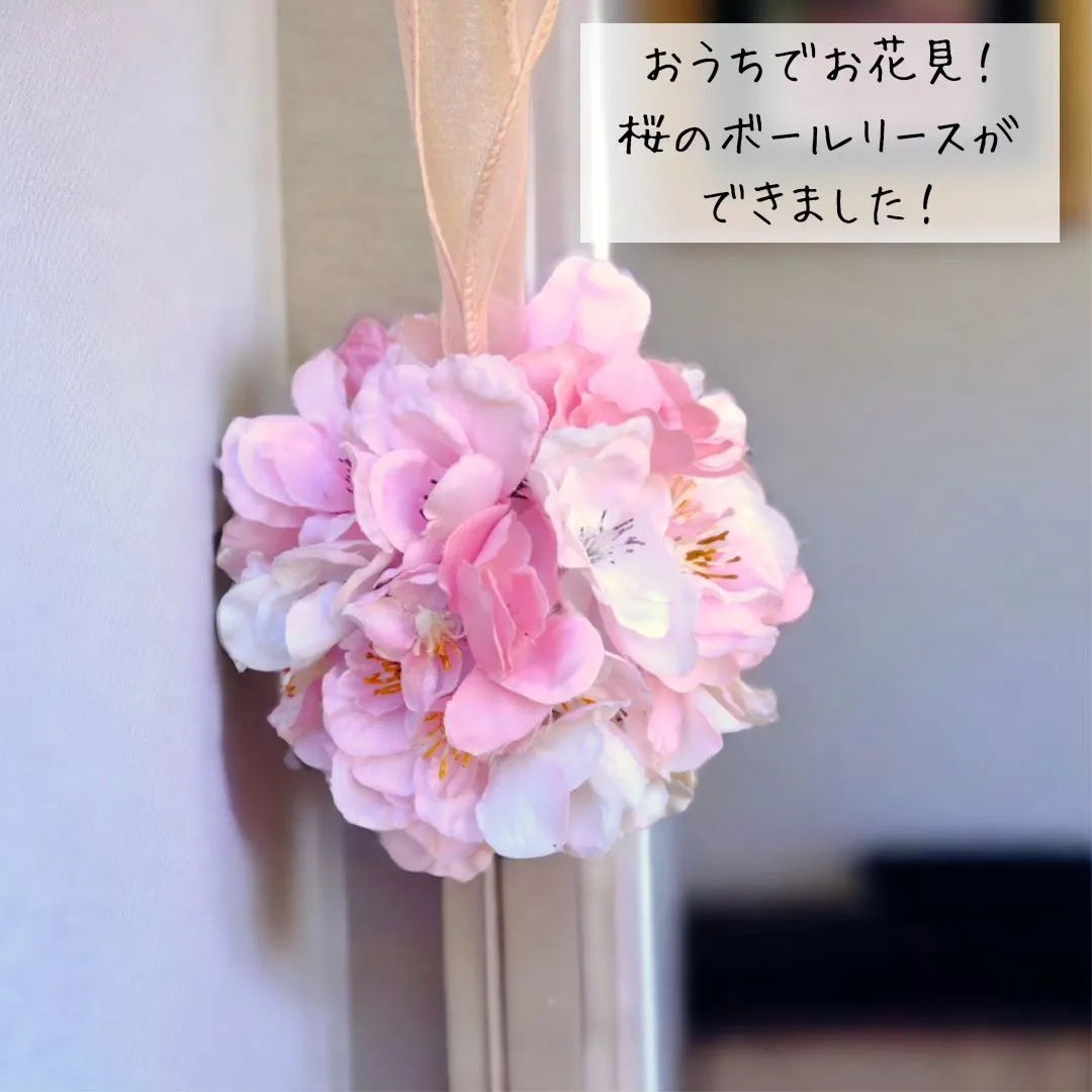 新しいカタチのお花見🌸