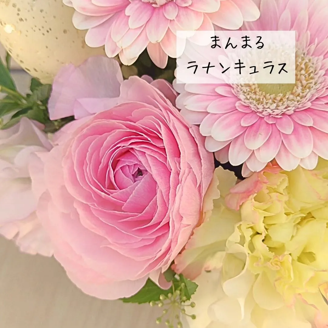 選べる春のお花💐