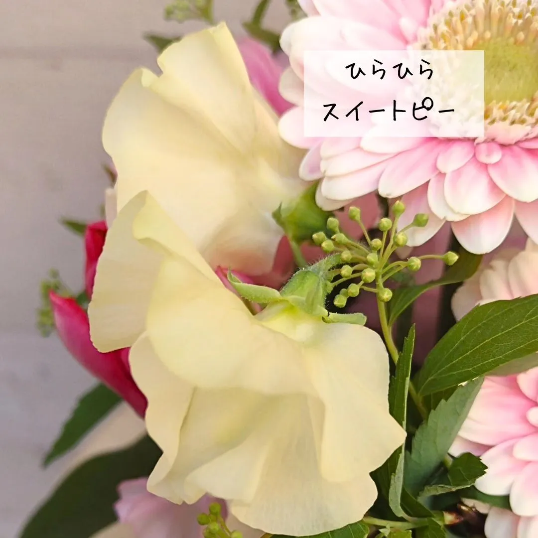選べる春のお花💐