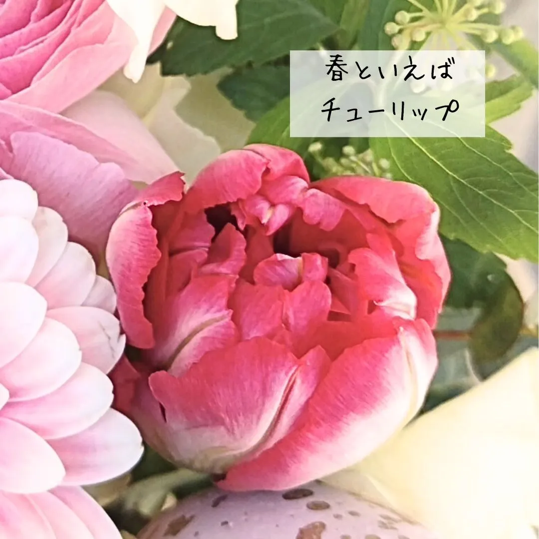 選べる春のお花💐