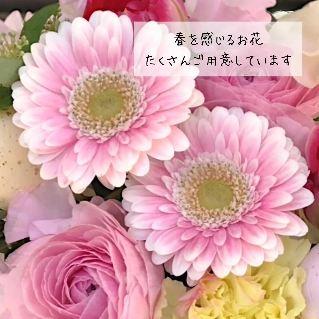 選べる春のお花💐