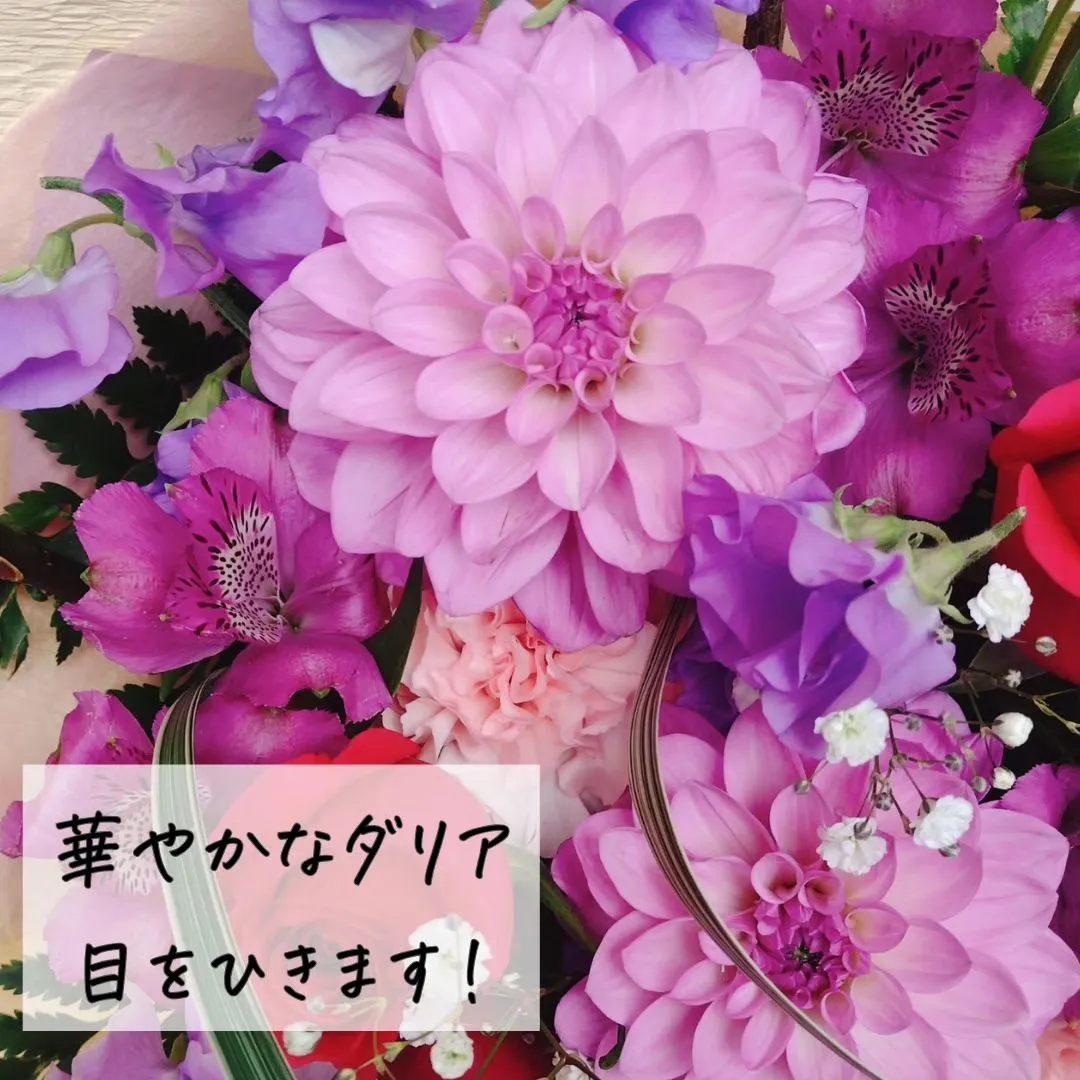 budou_to_yanagi  @BUDOU_TO_YAN...