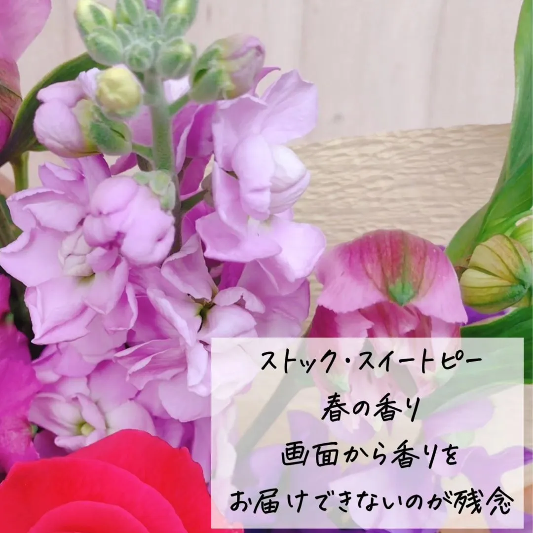 budou_to_yanagi  @BUDOU_TO_YAN...