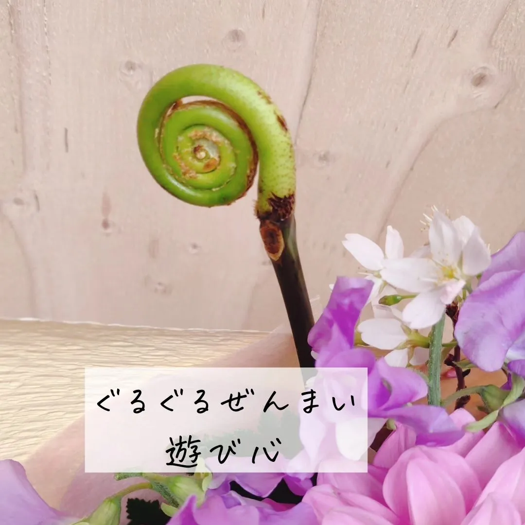 budou_to_yanagi  @BUDOU_TO_YAN...