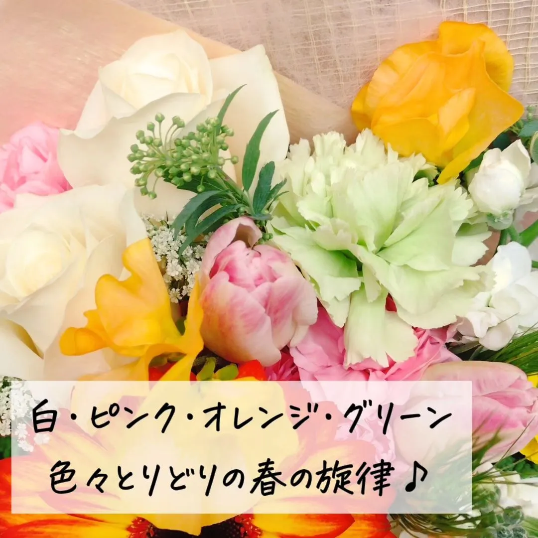 budou_to_yanagi  @BUDOU_TO_YAN...