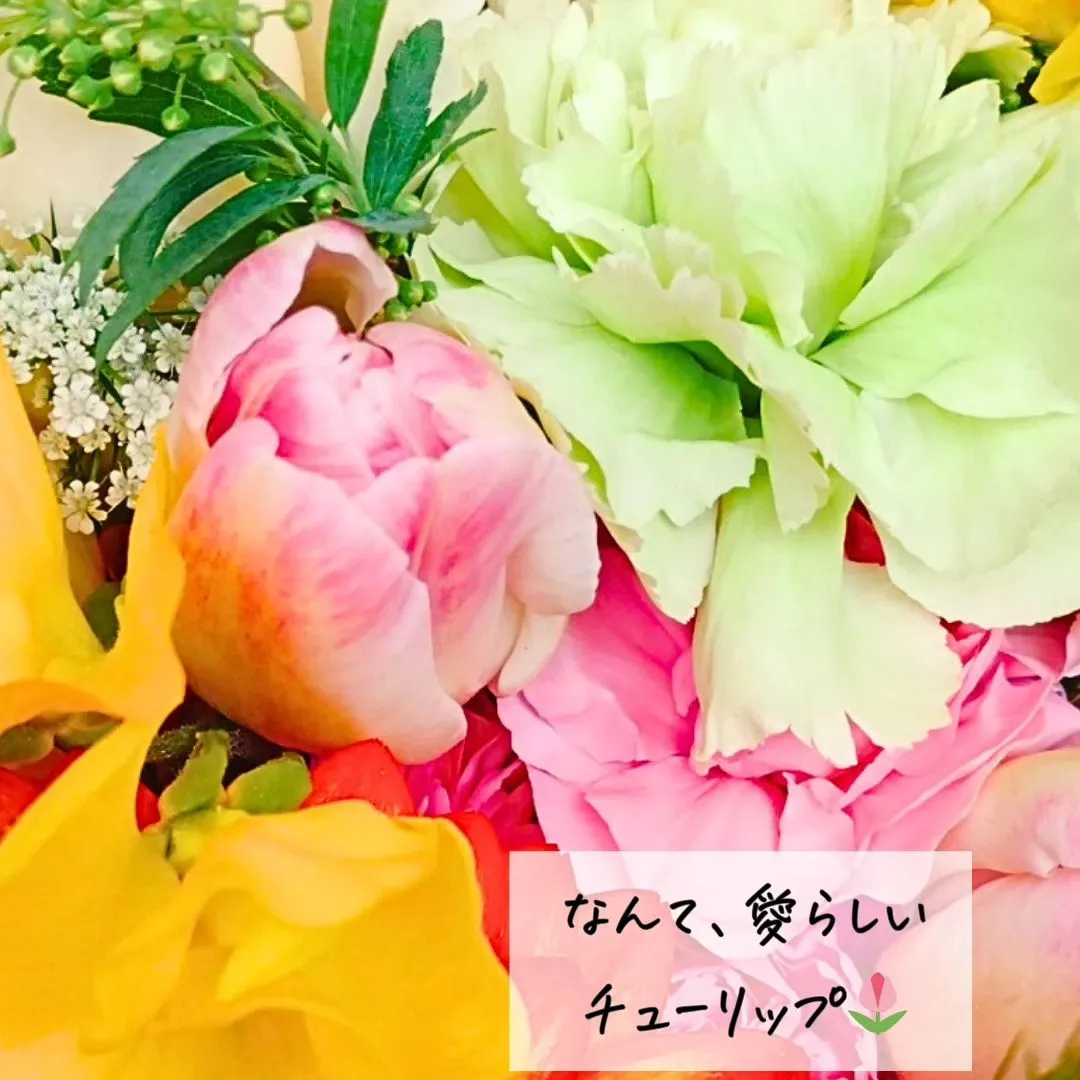 budou_to_yanagi  @BUDOU_TO_YAN...