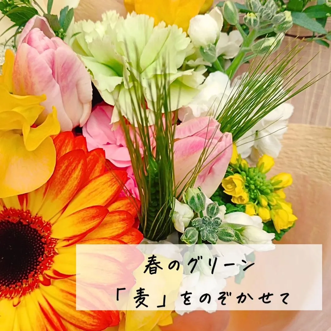 budou_to_yanagi  @BUDOU_TO_YAN...