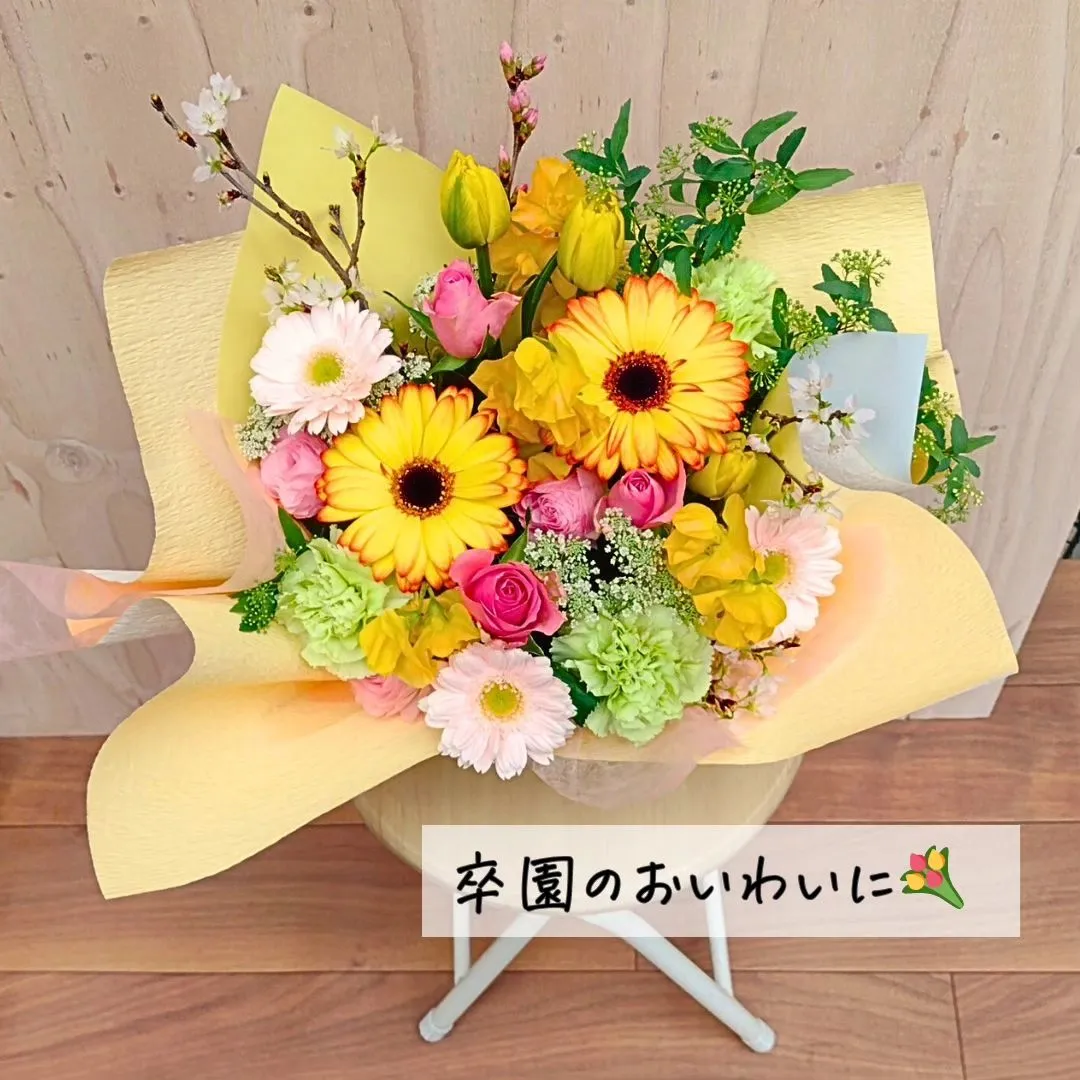 @BUDOU_TO_YANAGI ←  その他の投稿こちら