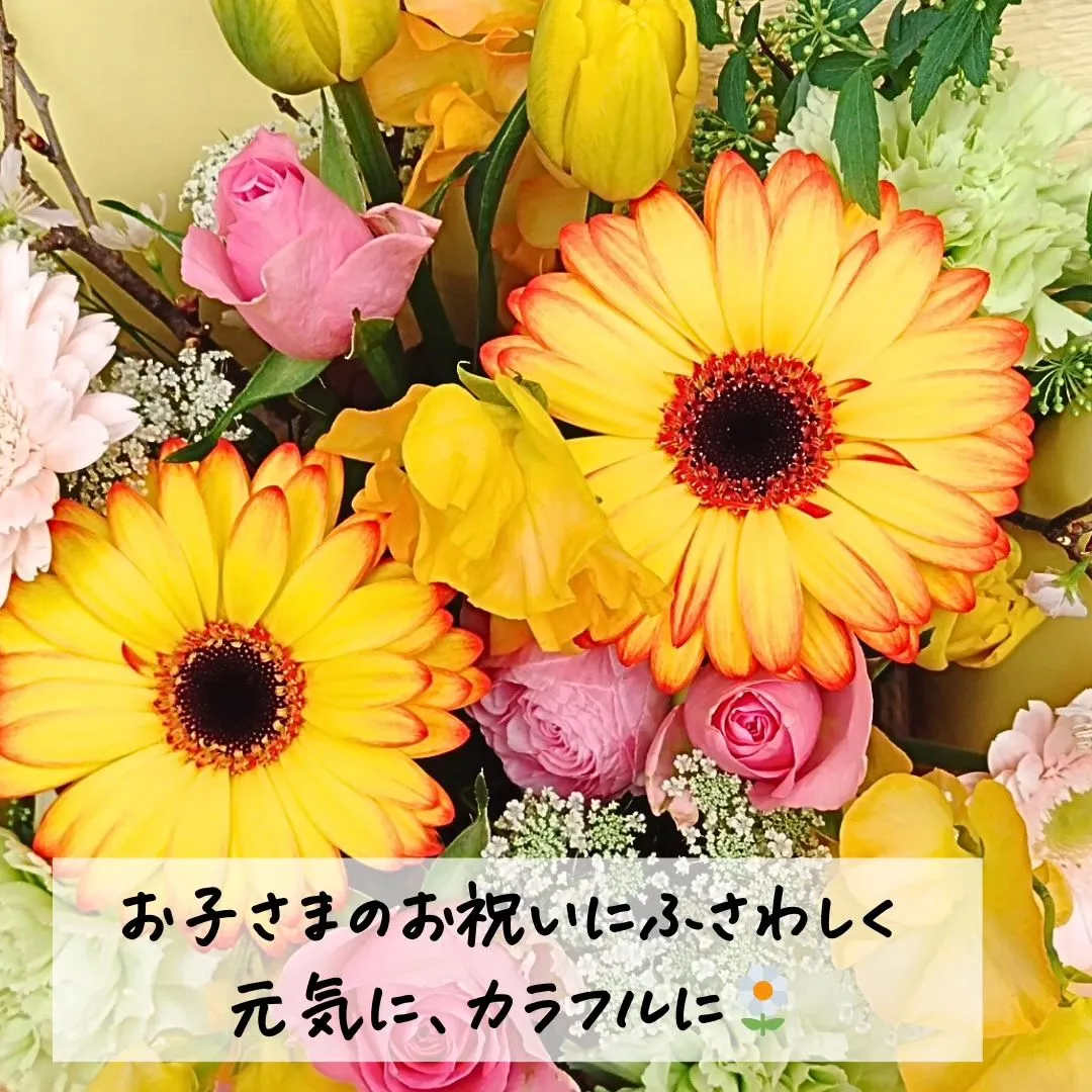 @BUDOU_TO_YANAGI ←  その他の投稿こちら