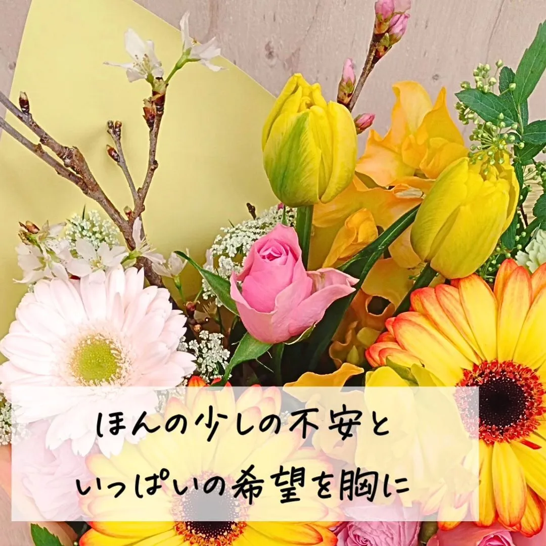 @BUDOU_TO_YANAGI ←  その他の投稿こちら